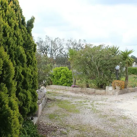 Santu Scianni Landsted Cerfignano
